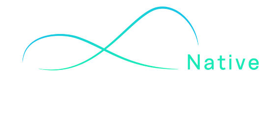 scn-logo